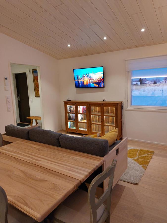 Arctic River Chalet Rovaniemi Kültér fotó