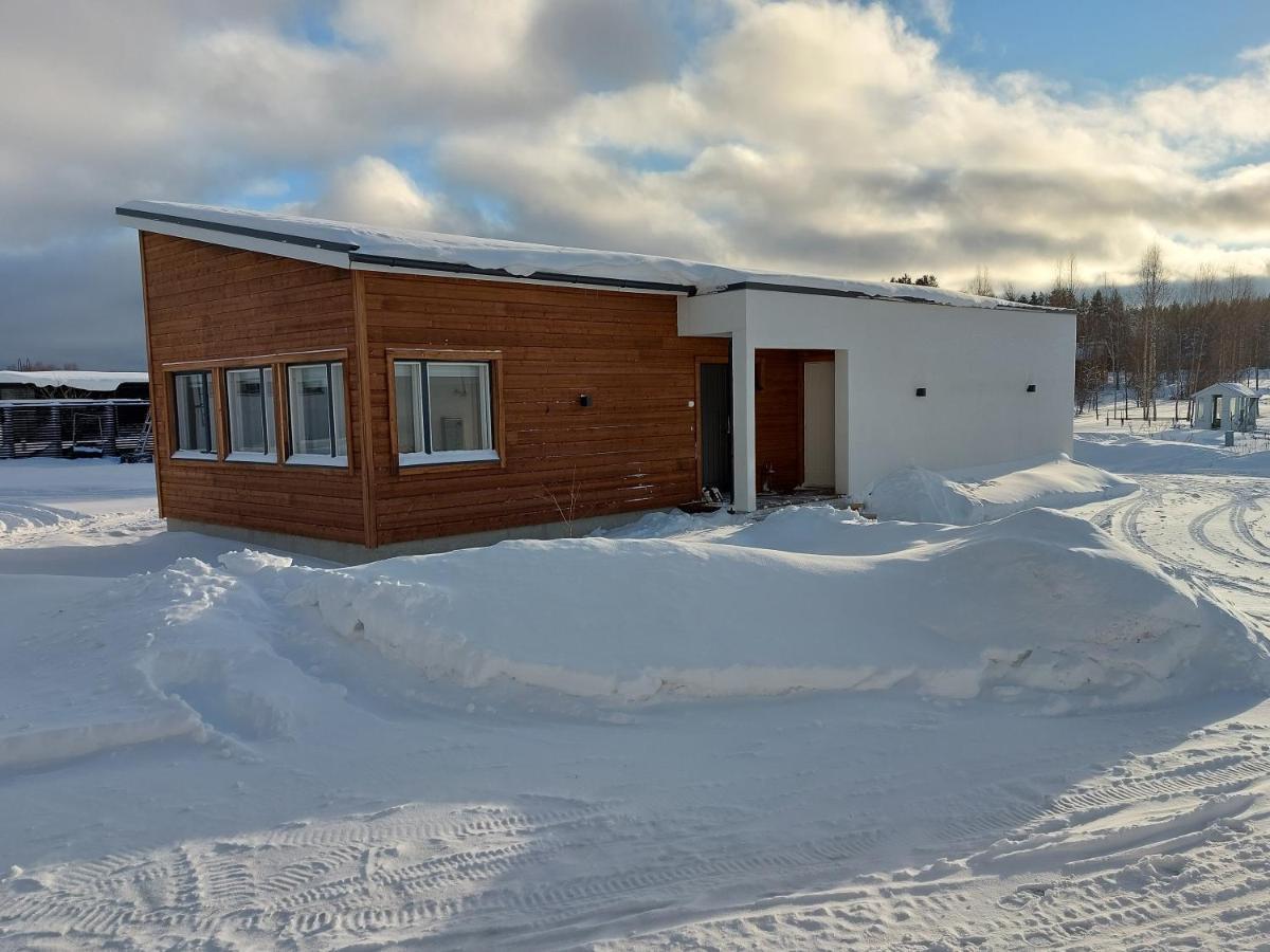 Arctic River Chalet Rovaniemi Kültér fotó